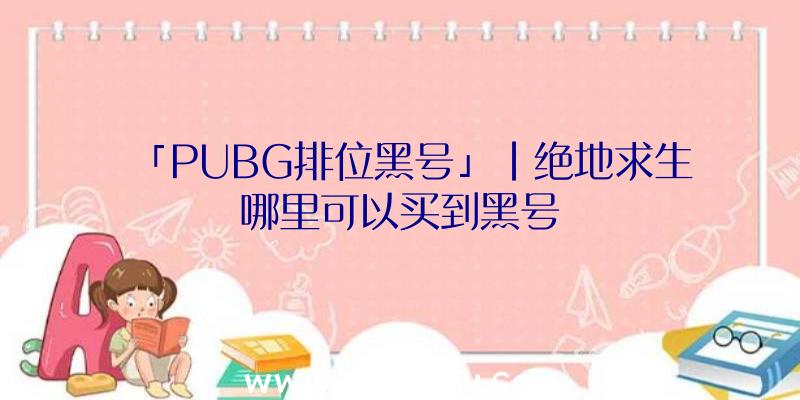 「PUBG排位黑号」|绝地求生哪里可以买到黑号